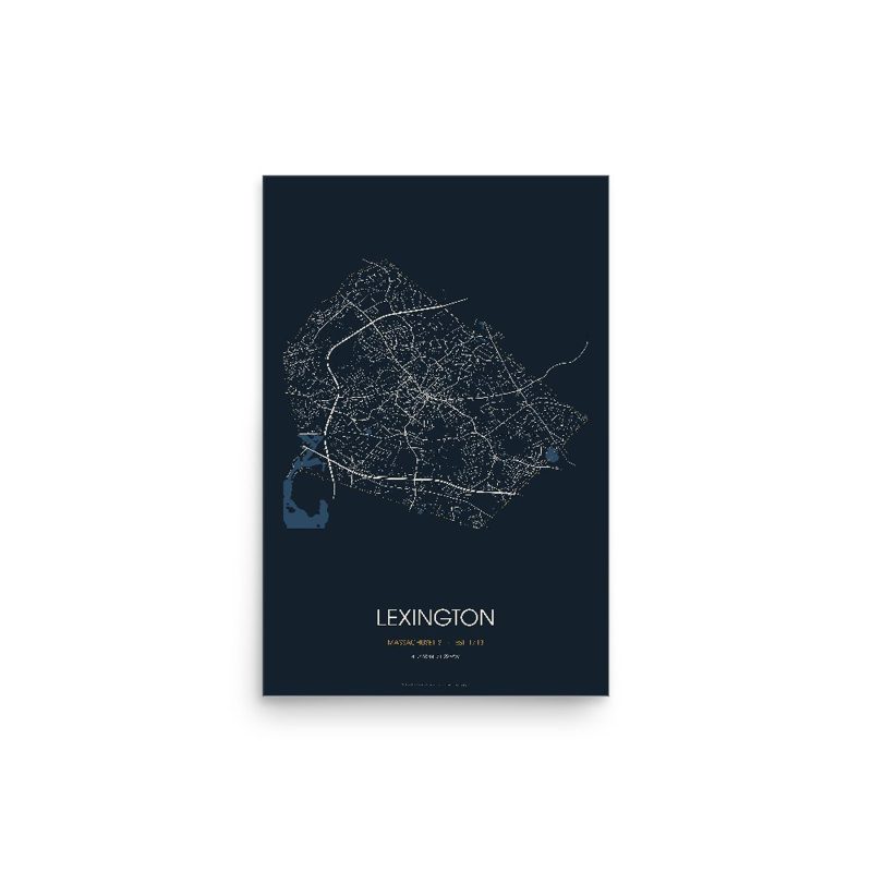 Lexington Street Map Poster · Midnight