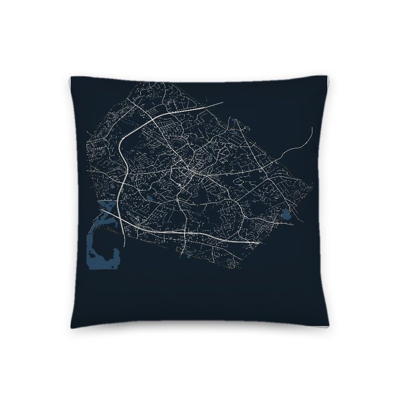 Lexington Map Throw Pillow