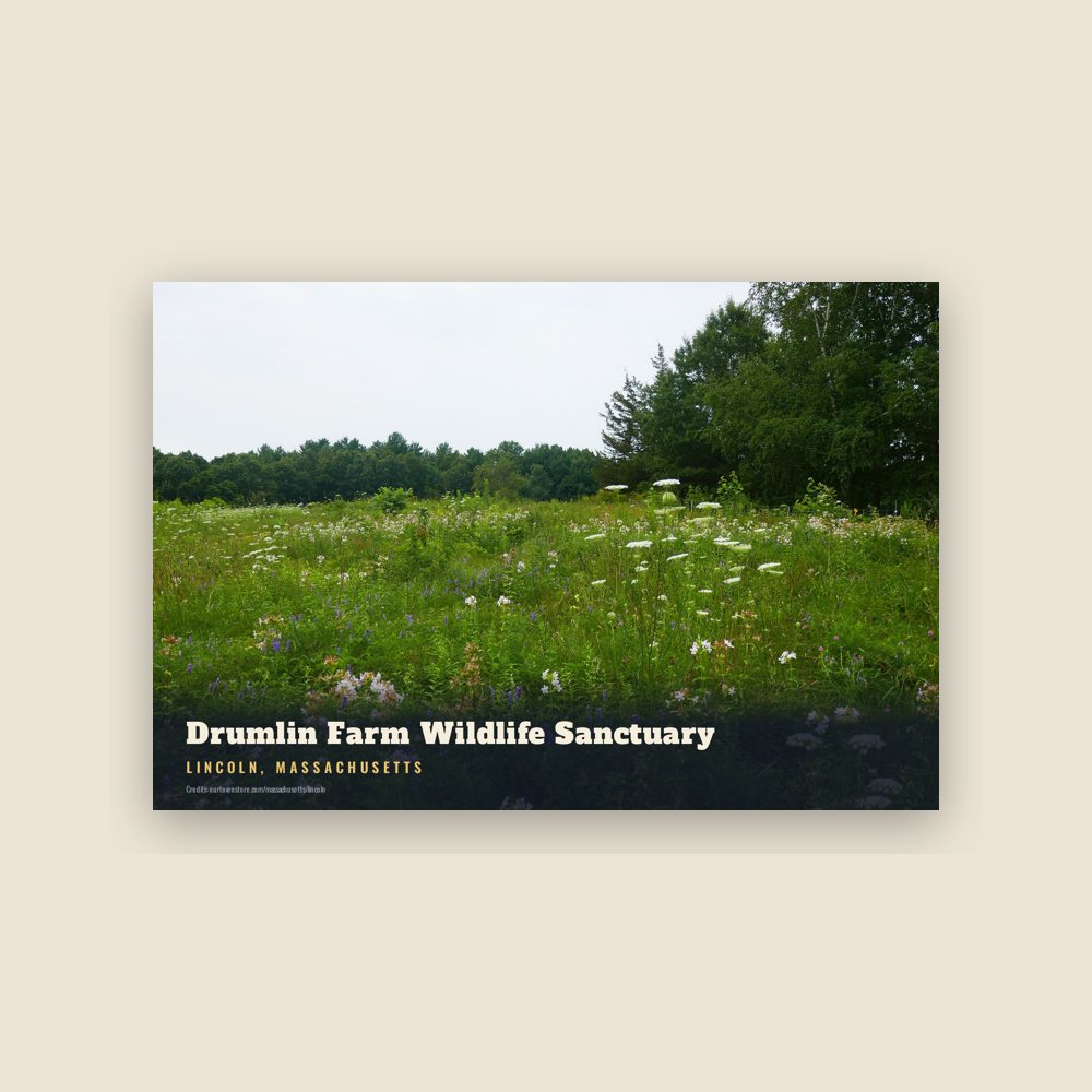 Lincoln Drumlin Farm Wildlife Sanctuary Postcard