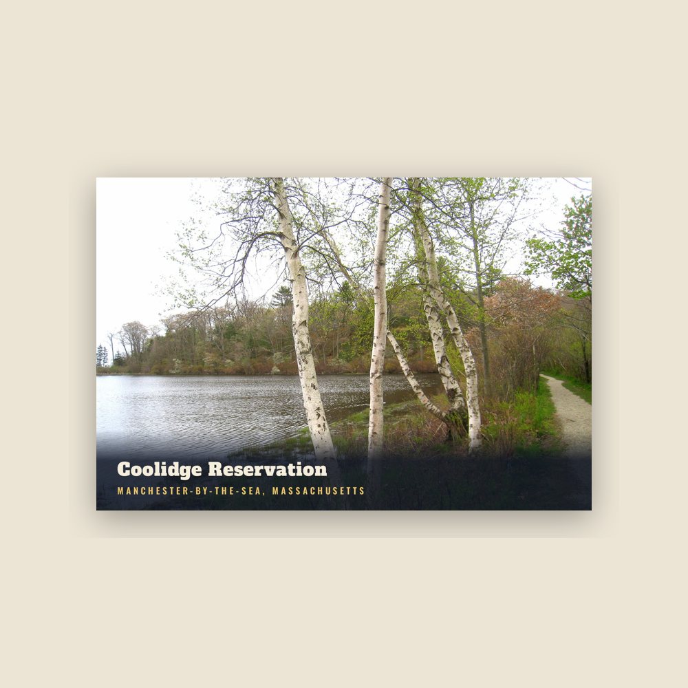 Manchester-by-the-Sea Coolidge Reservation Postcard