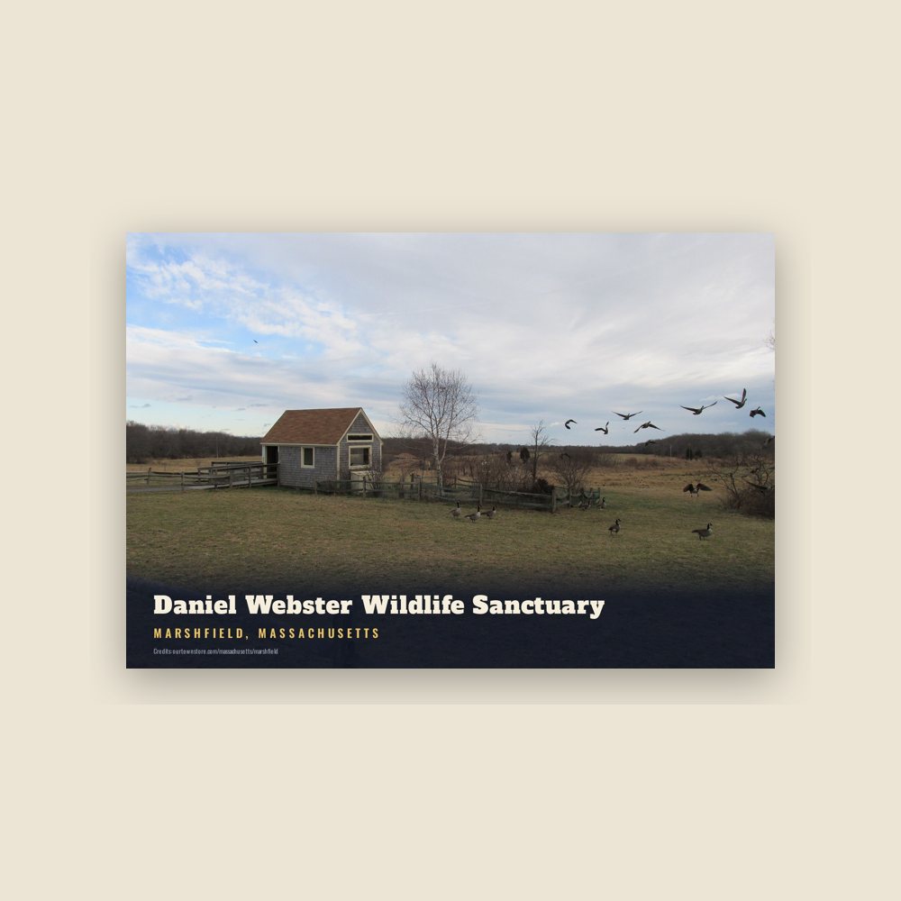 Marshfield Daniel Webster Wildlife Sanctuary Postcard