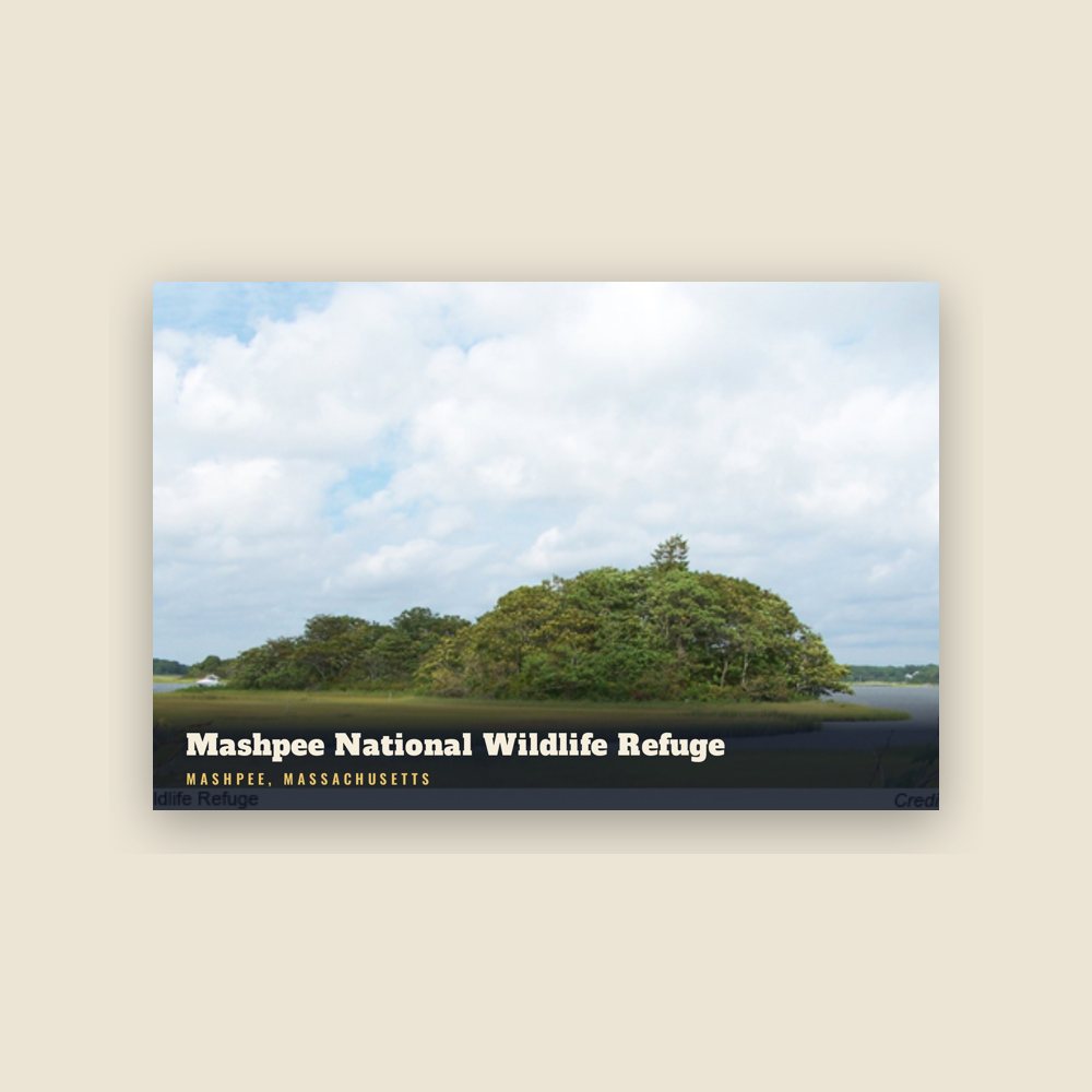 Mashpee Mashpee National Wildlife Refuge Postcard