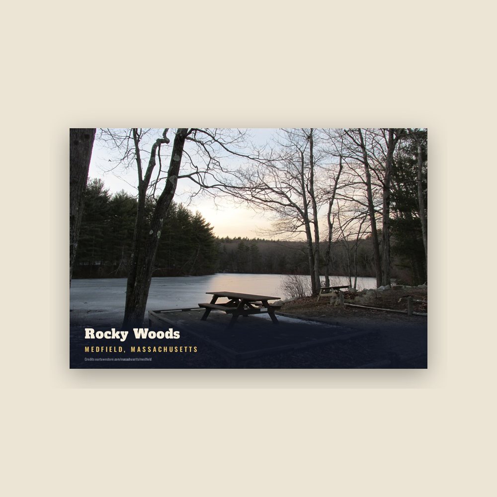 Medfield Rocky Woods Postcard