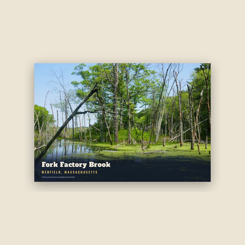 Medfield Fork Factory Brook Postcard