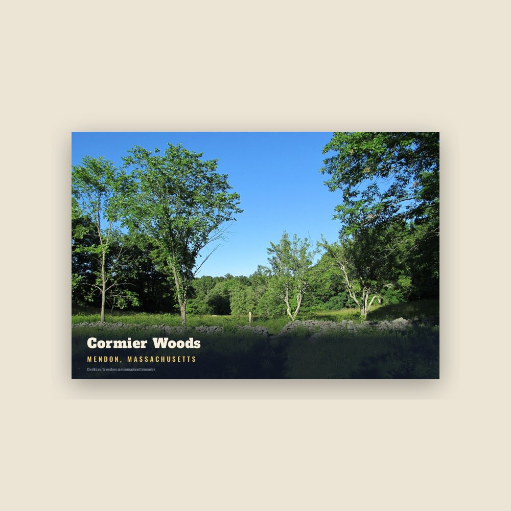 Mendon Cormier Woods Postcard