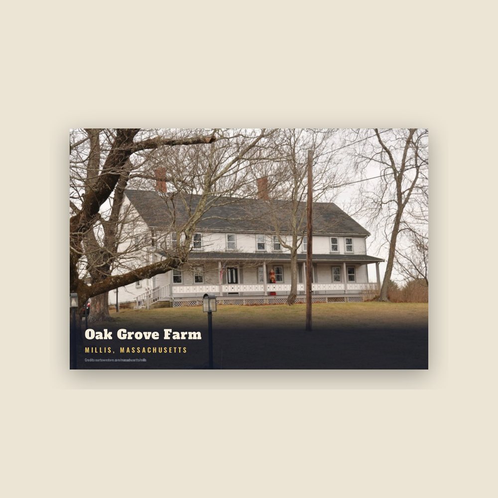 Millis Oak Grove Farm Postcard
