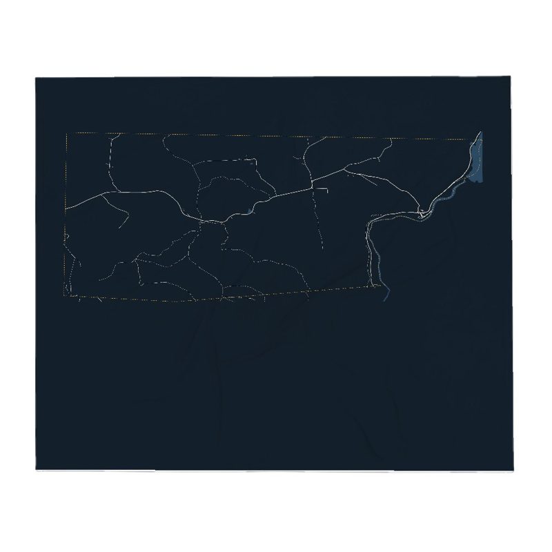 Monroe Street Map Throw Blanket