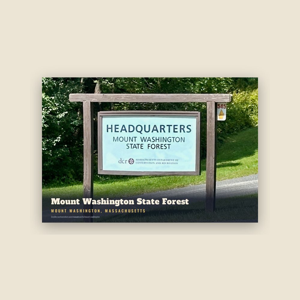 Mount Washington Mount Washington State Forest Postcard