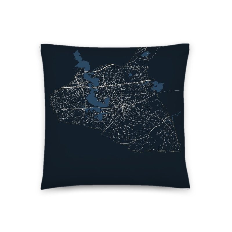 Natick Map Throw Pillow
