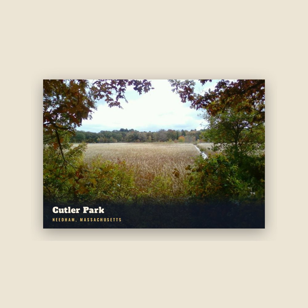 Needham Cutler Park Postcard