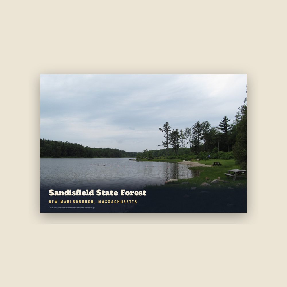 New Marlborough Sandisfield State Forest Postcard