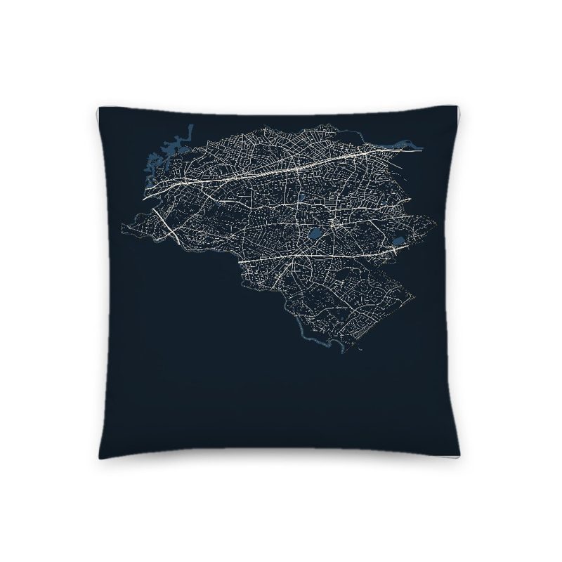 Newton Map Throw Pillow