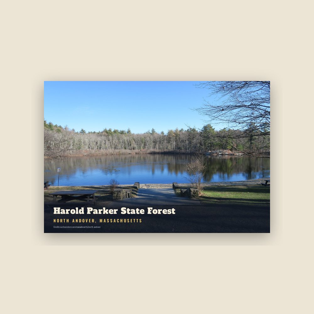 North Andover Harold Parker State Forest Postcard