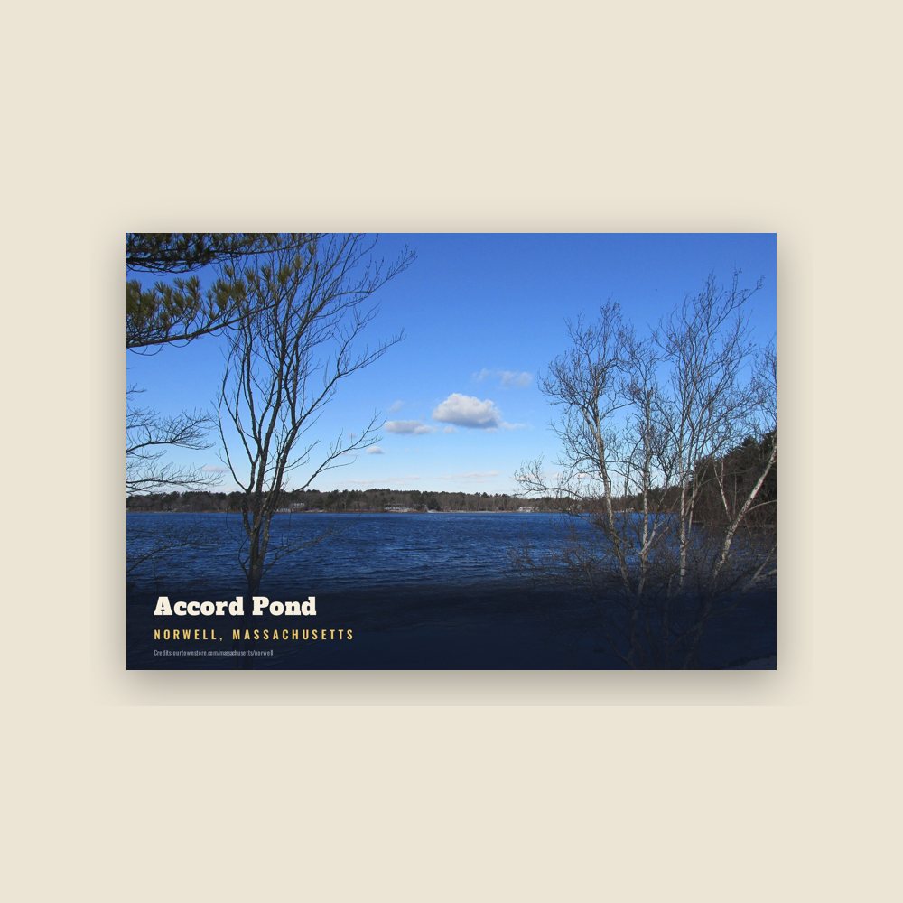 Norwell Accord Pond Postcard