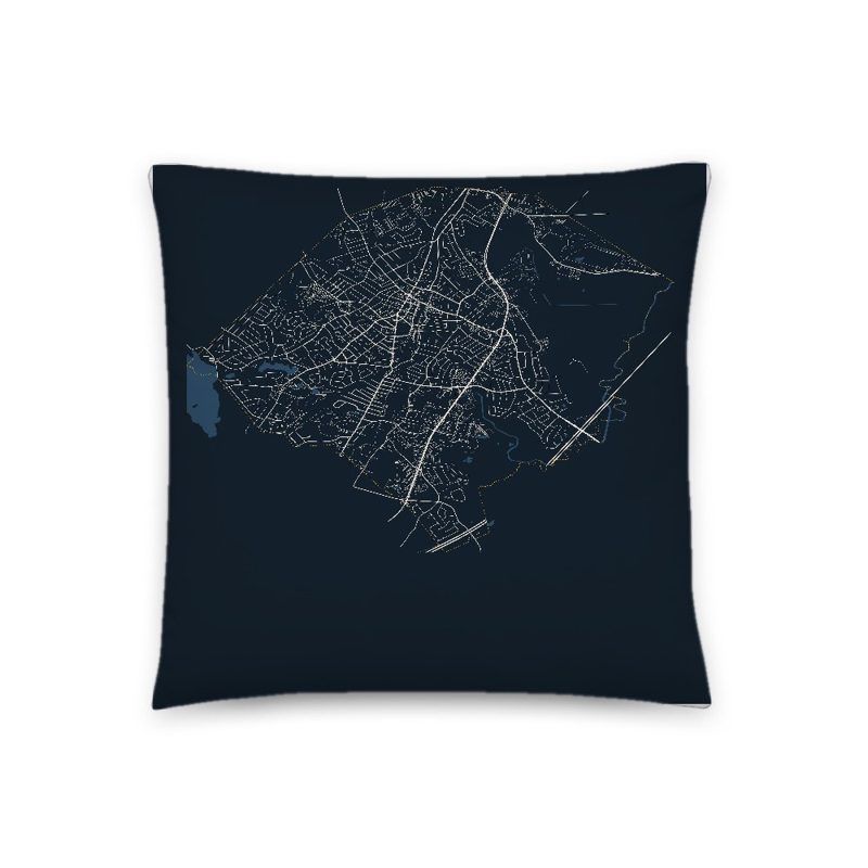 Norwood Map Throw Pillow