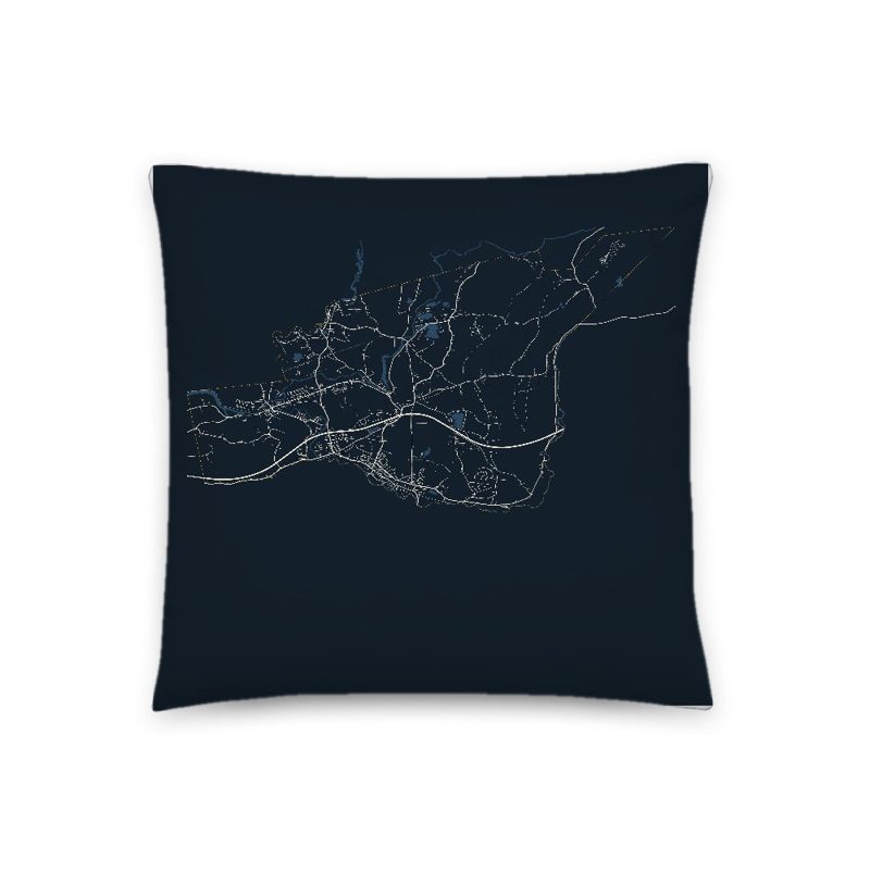 Palmer Map Throw Pillow