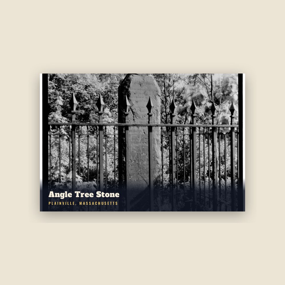 Plainville Angle Tree Stone Postcard