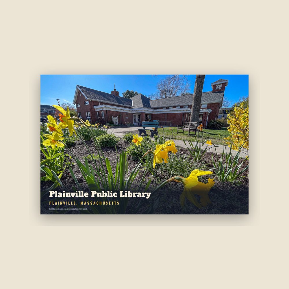 Plainville Plainville Public Library Postcard