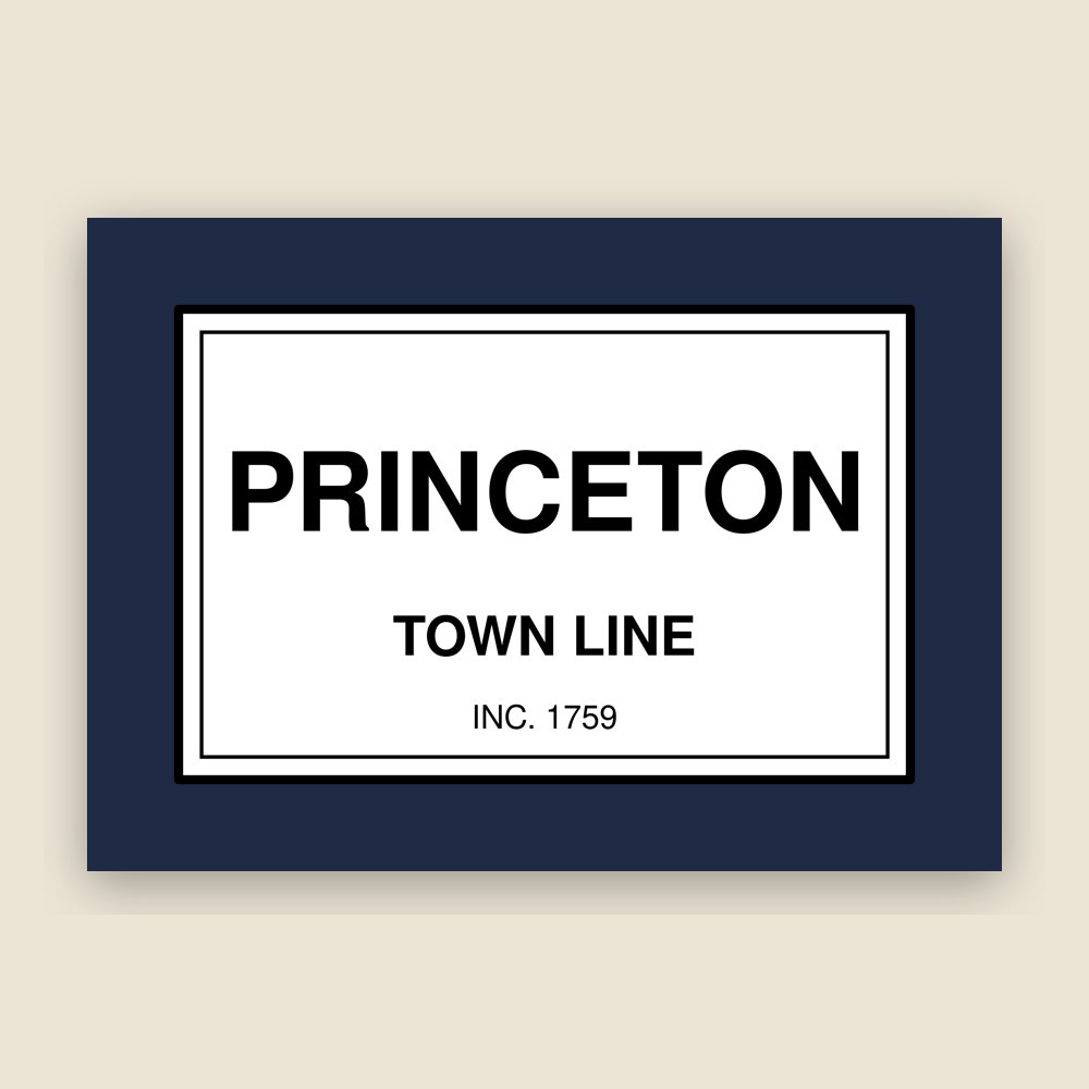Princeton Town Line Mug