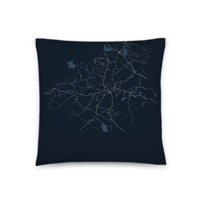 Princeton Map Throw Pillow