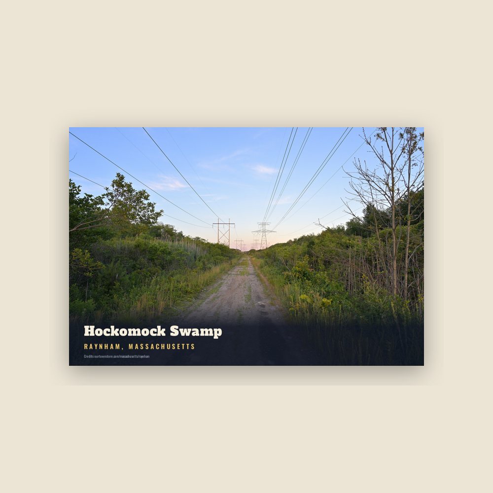 Raynham Hockomock Swamp Postcard