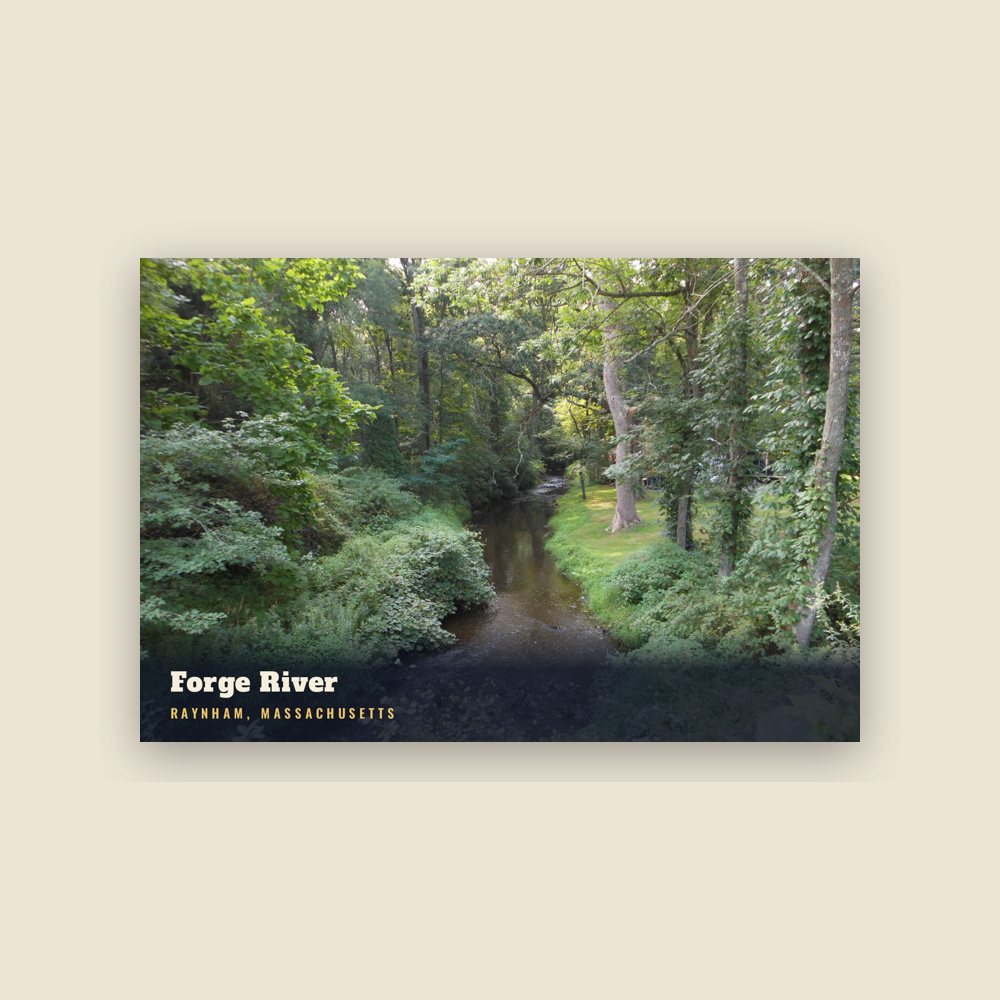 Raynham Forge River Postcard