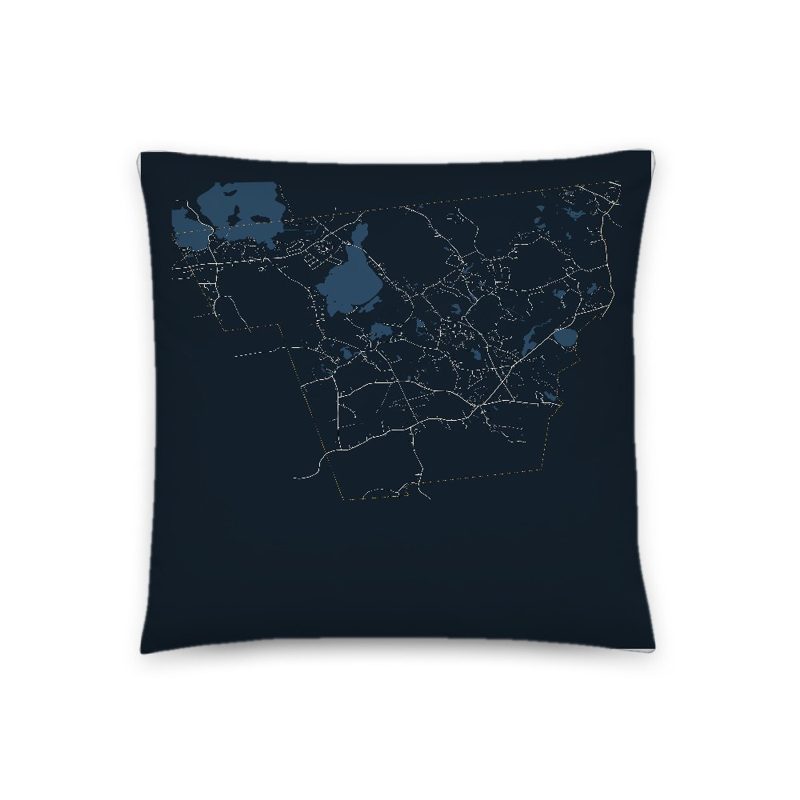 Rochester Map Throw Pillow