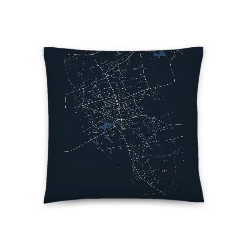Rockland Map Throw Pillow