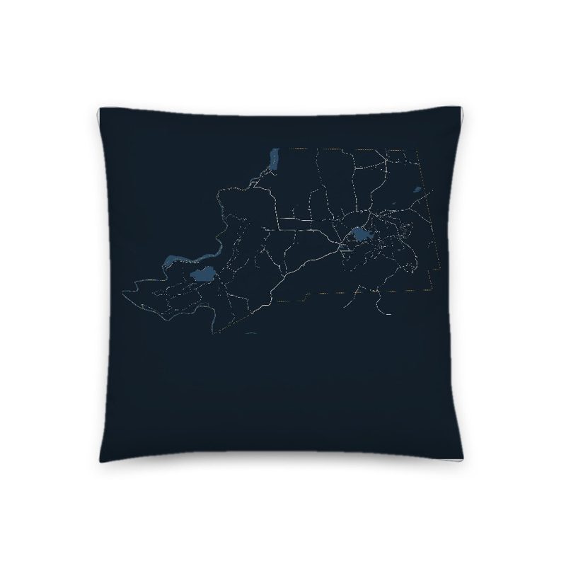 Rowe Map Throw Pillow