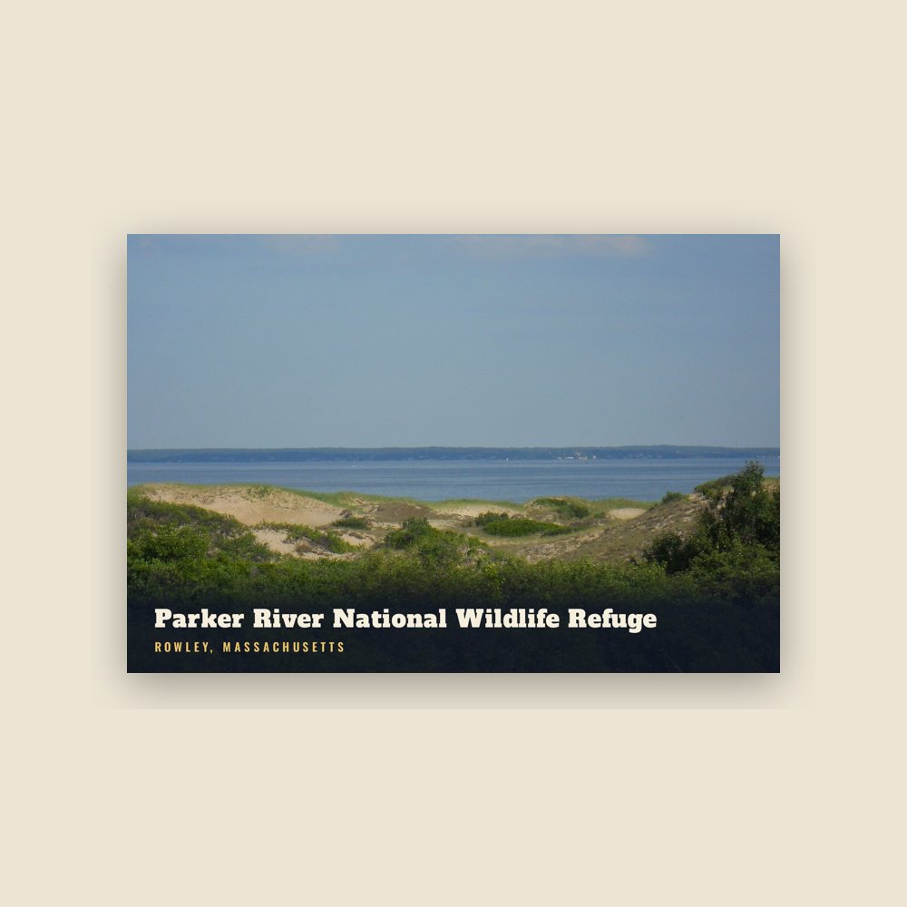 Rowley Parker River National Wildlife Refuge Postcard