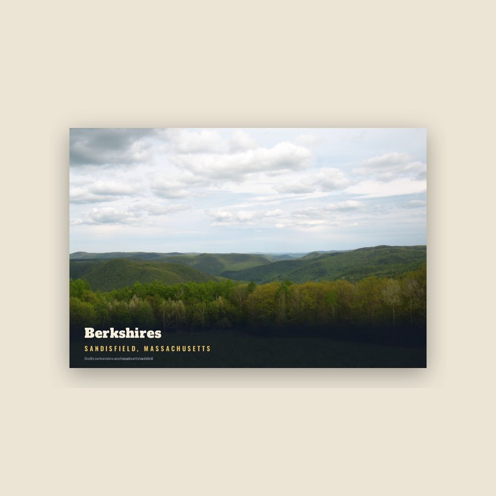 Sandisfield Berkshires Postcard