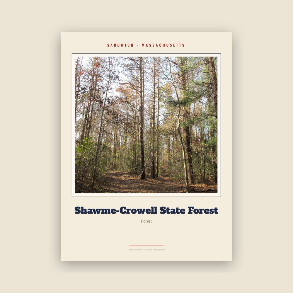 Sandwich Shawme-Crowell State Forest Landmark Print
