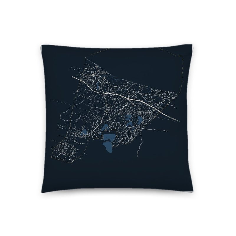 Sandwich Map Throw Pillow