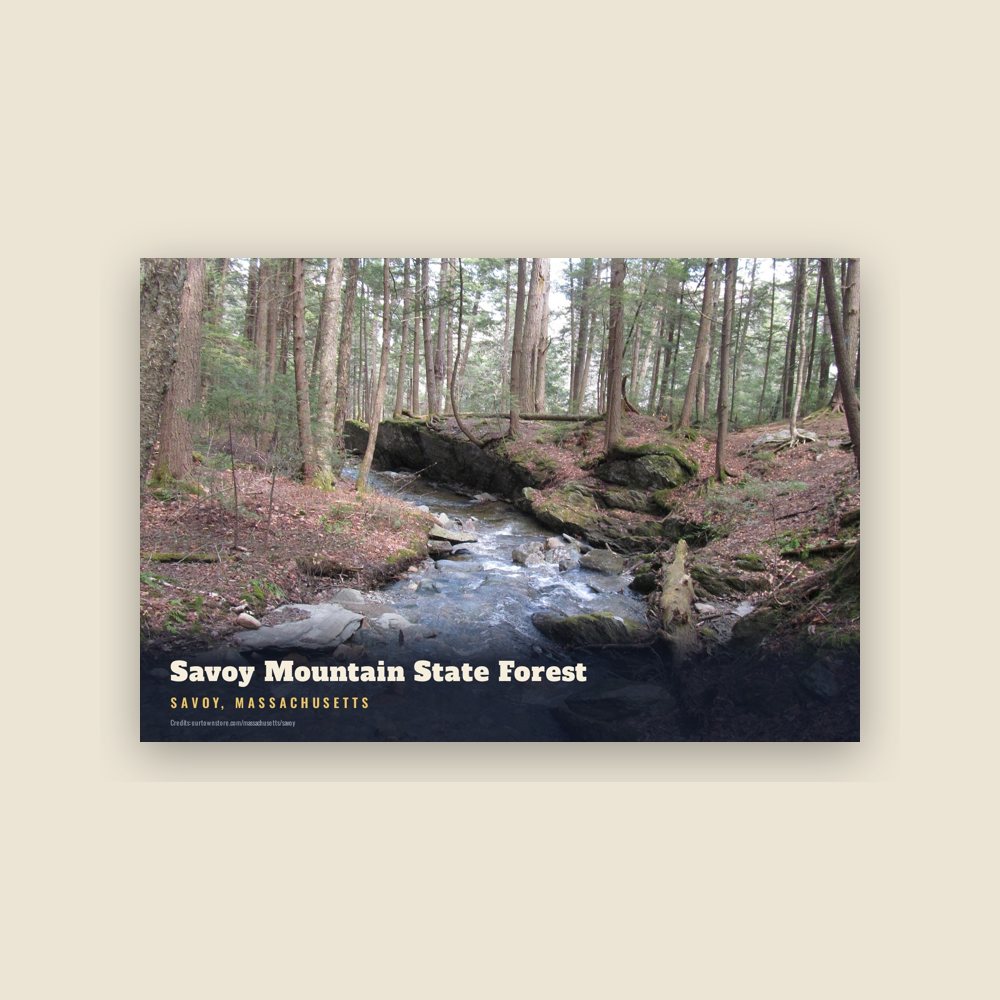Savoy Savoy Mountain State Forest Postcard