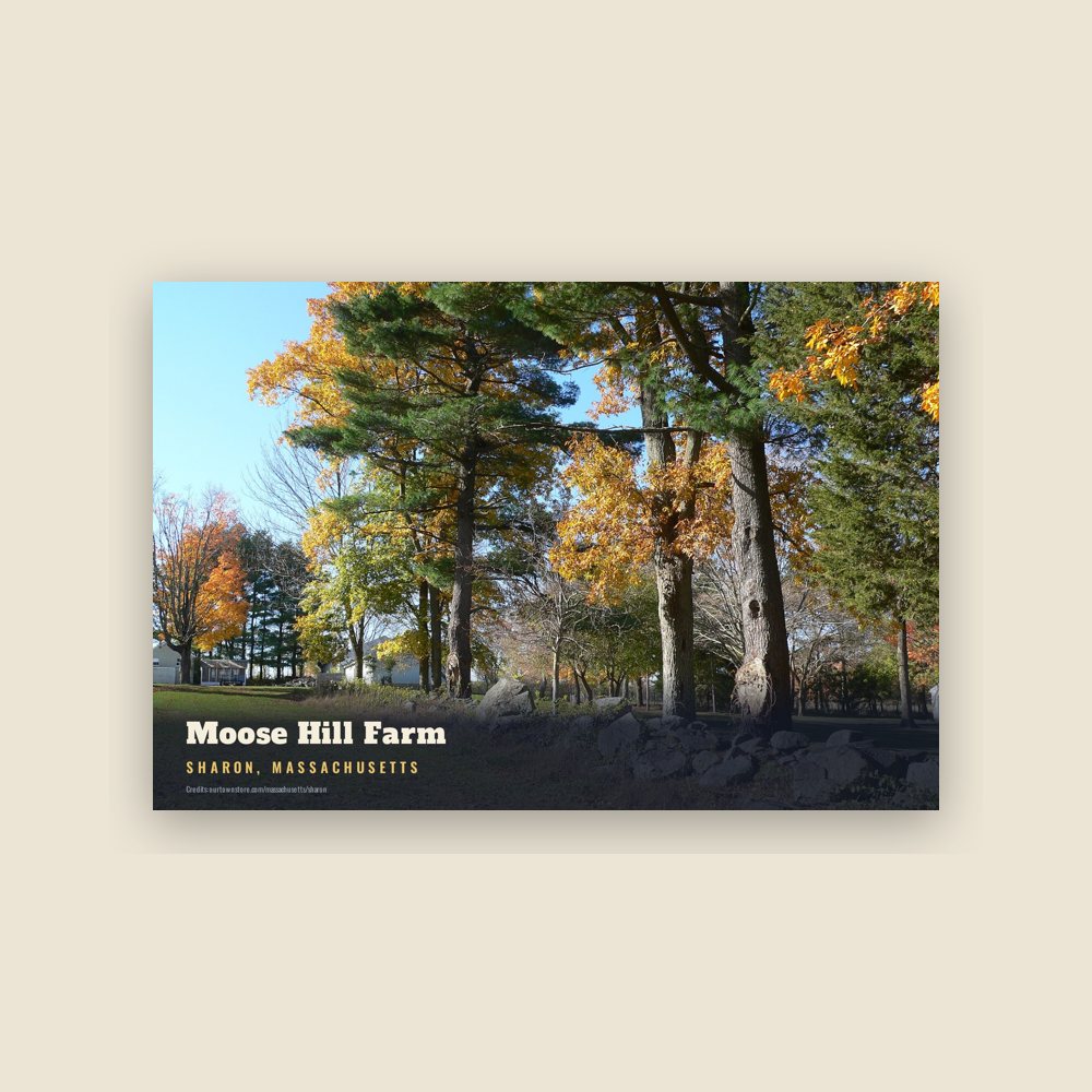Sharon Moose Hill Farm Postcard