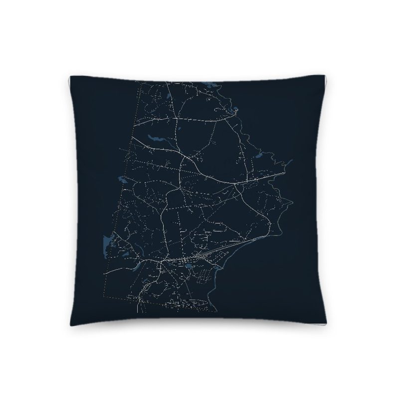 Shirley Map Throw Pillow