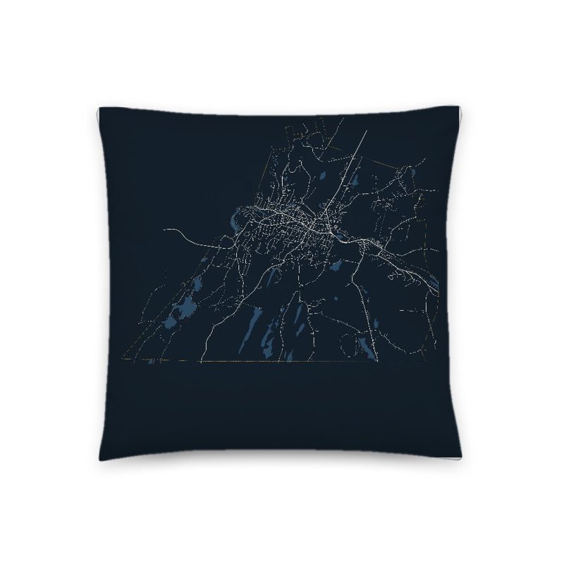 Southbridge Map Throw Pillow