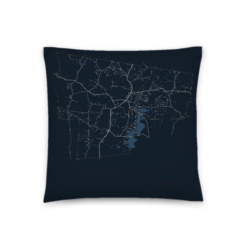Southwick Map Throw Pillow