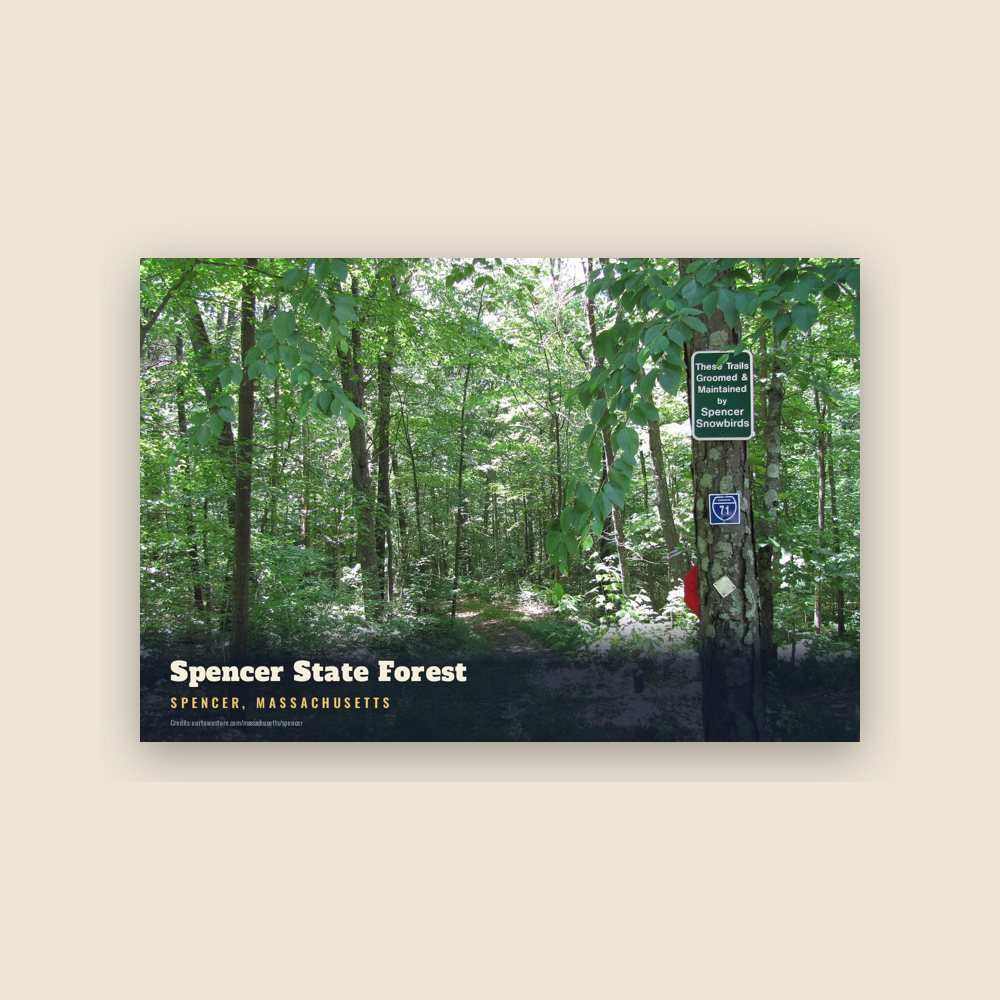 Spencer Spencer State Forest Postcard