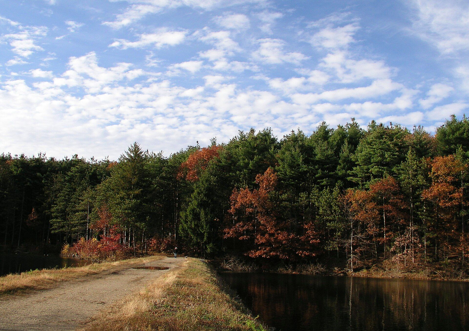 Middlesex Fells Reservation, Stoneham, Massachusetts