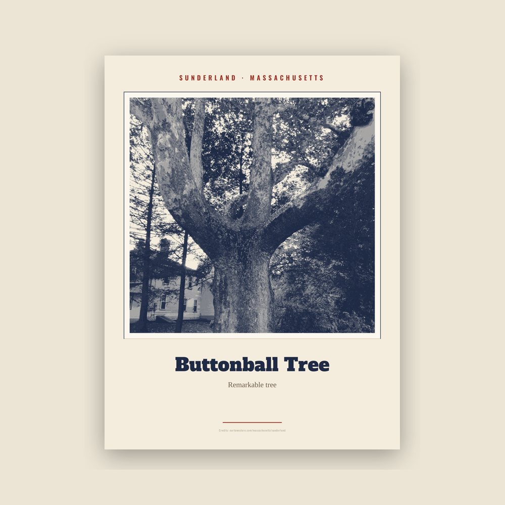 Sunderland Buttonball Tree Landmark Print