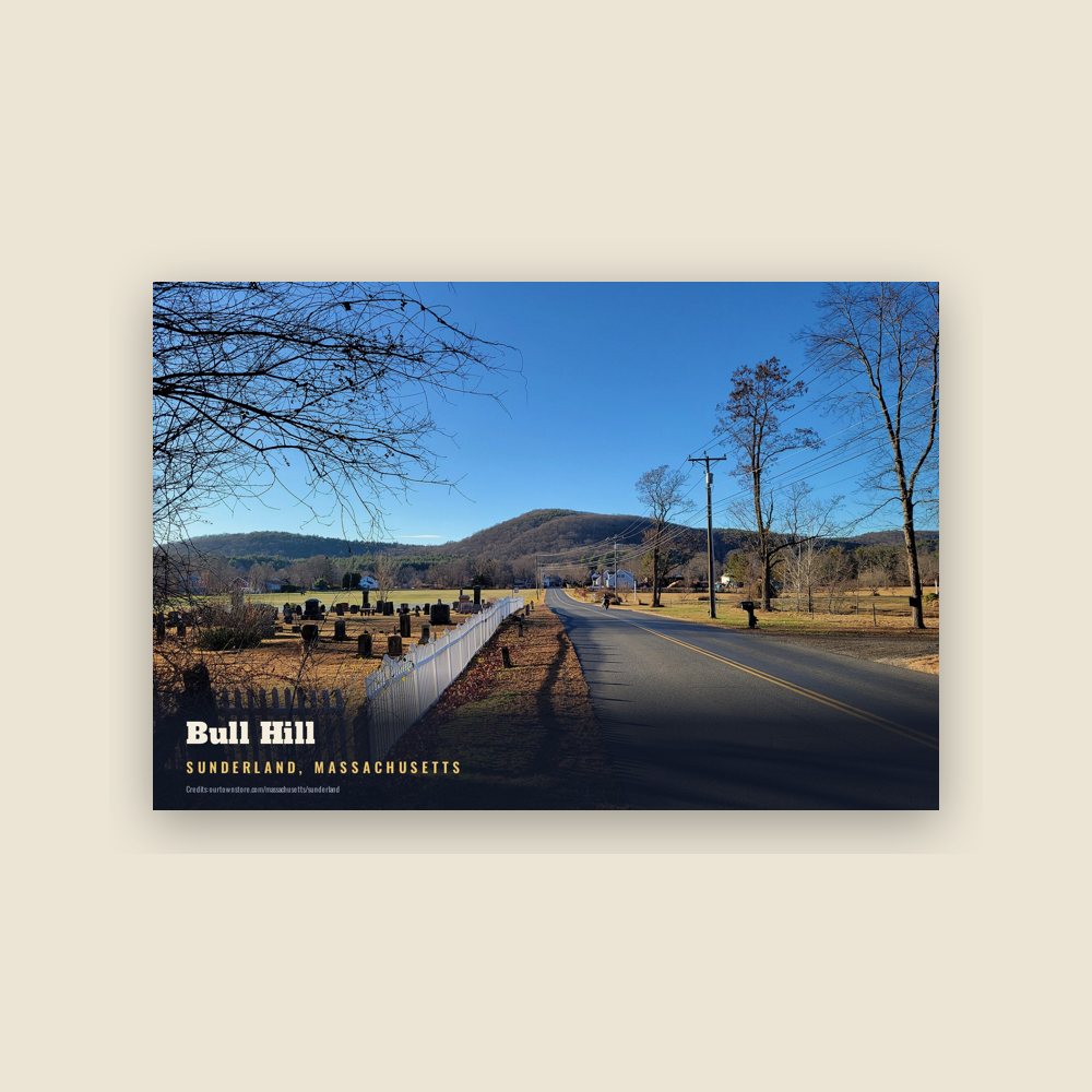 Sunderland Bull Hill Postcard