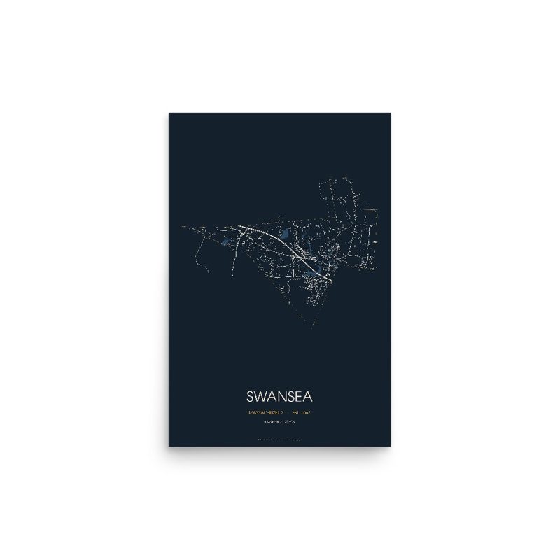 Swansea Street Map Poster · Midnight