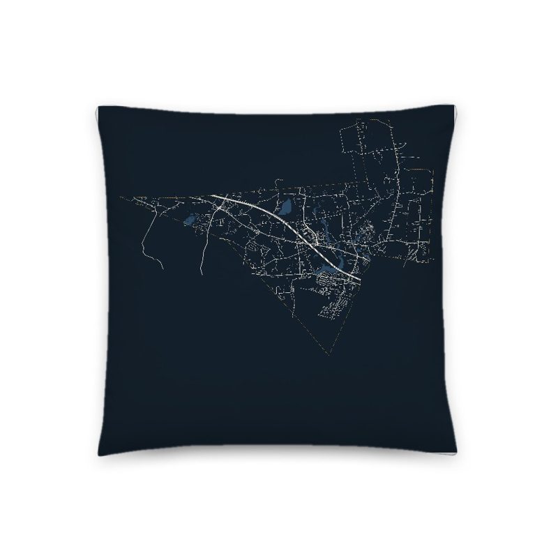 Swansea Map Throw Pillow