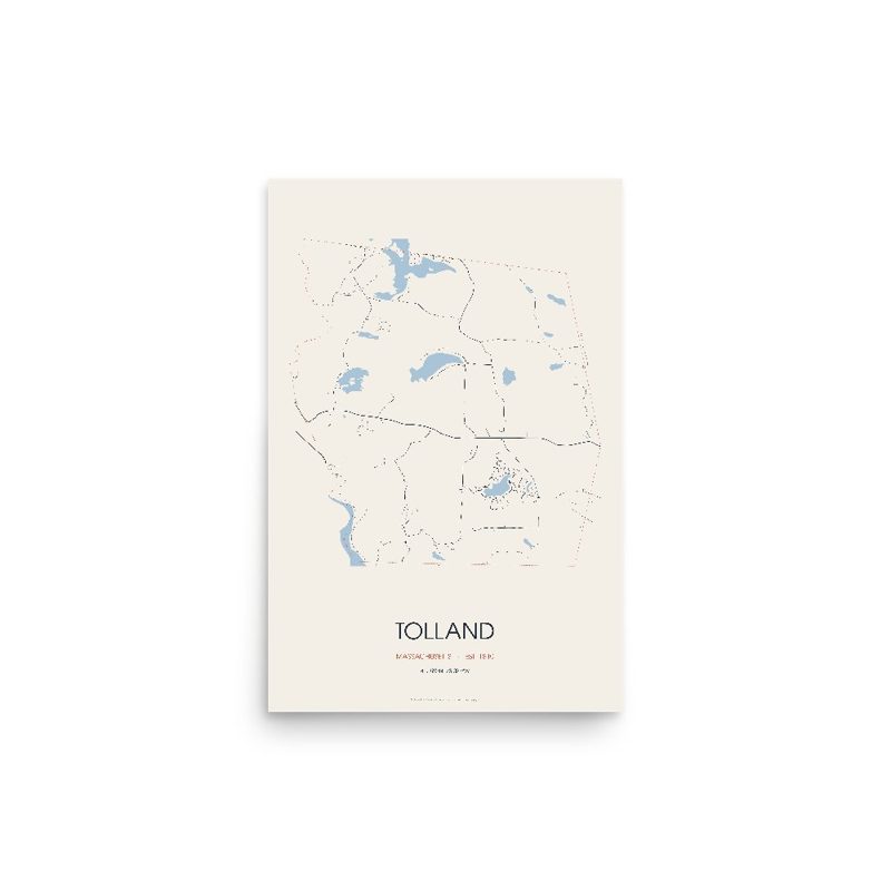 Tolland Street Map Poster · Linen
