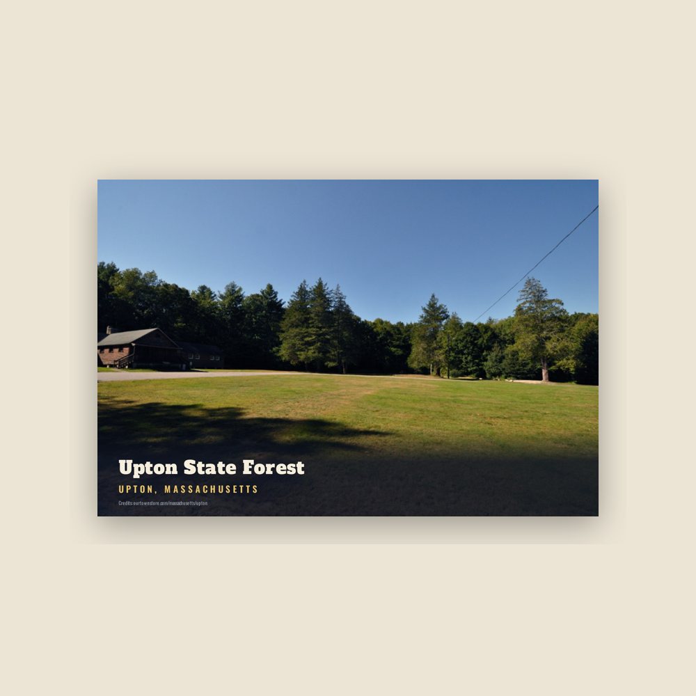 Upton Upton State Forest Postcard
