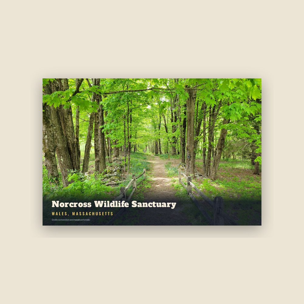 Wales Norcross Wildlife Sanctuary Postcard