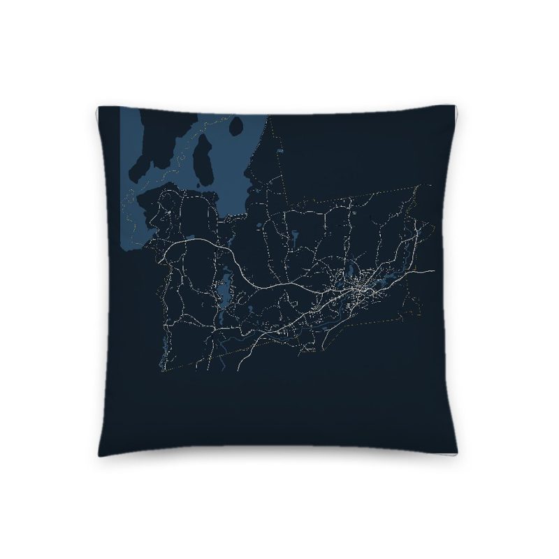 Ware Map Throw Pillow