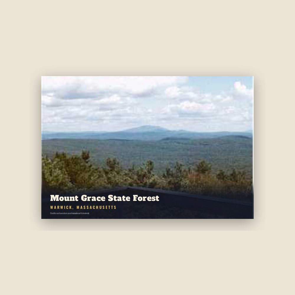 Warwick Mount Grace State Forest Postcard