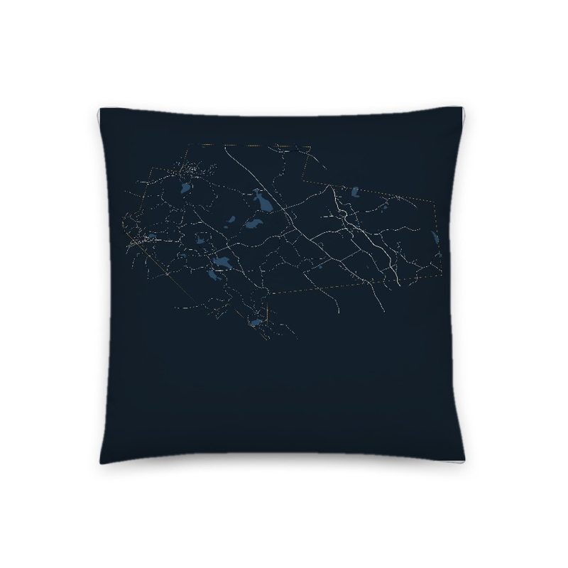 Washington Map Throw Pillow
